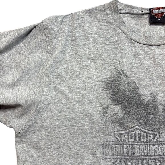 Y2K Harley Davidson Eagle Tshirt Gray XL Troy NY Brunswick - Picture 6 of 8